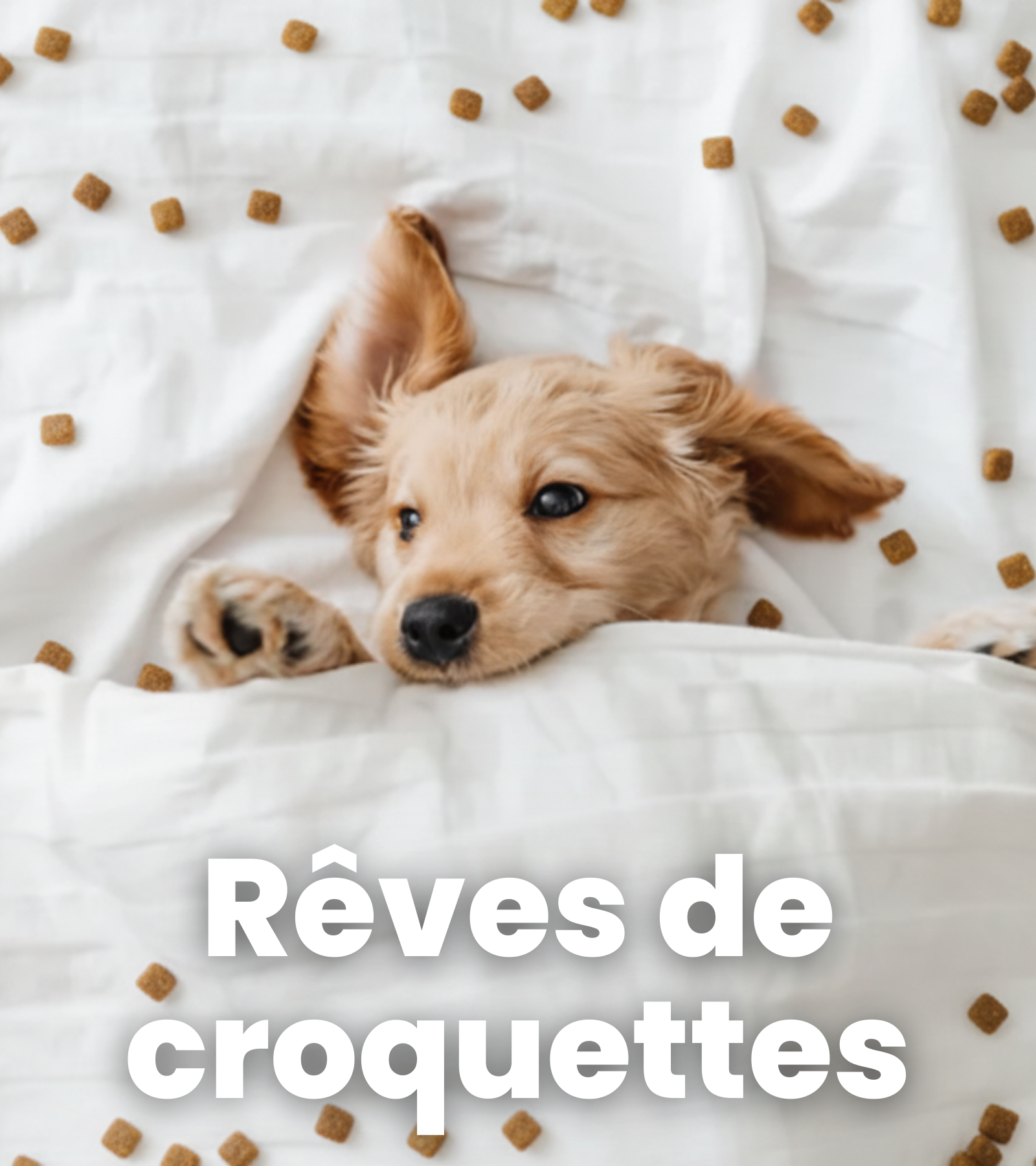 ope fev créa rêve de croquettes